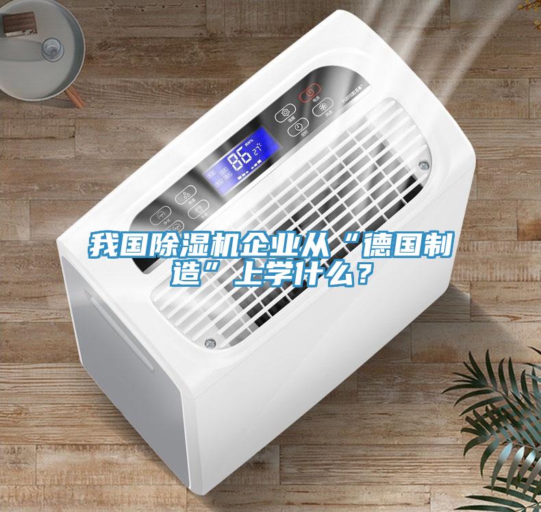 我國(guó)除濕機(jī)企業(yè)從“德國(guó)制造”上學(xué)什么？