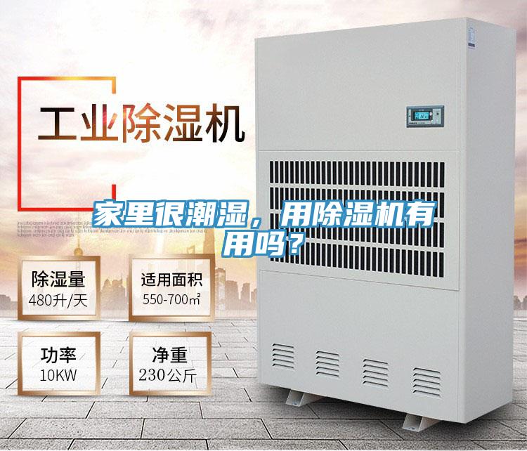 家里很潮濕，用除濕機(jī)有用嗎？