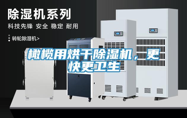 橄欖用烘干除濕機，更快更衛(wèi)生