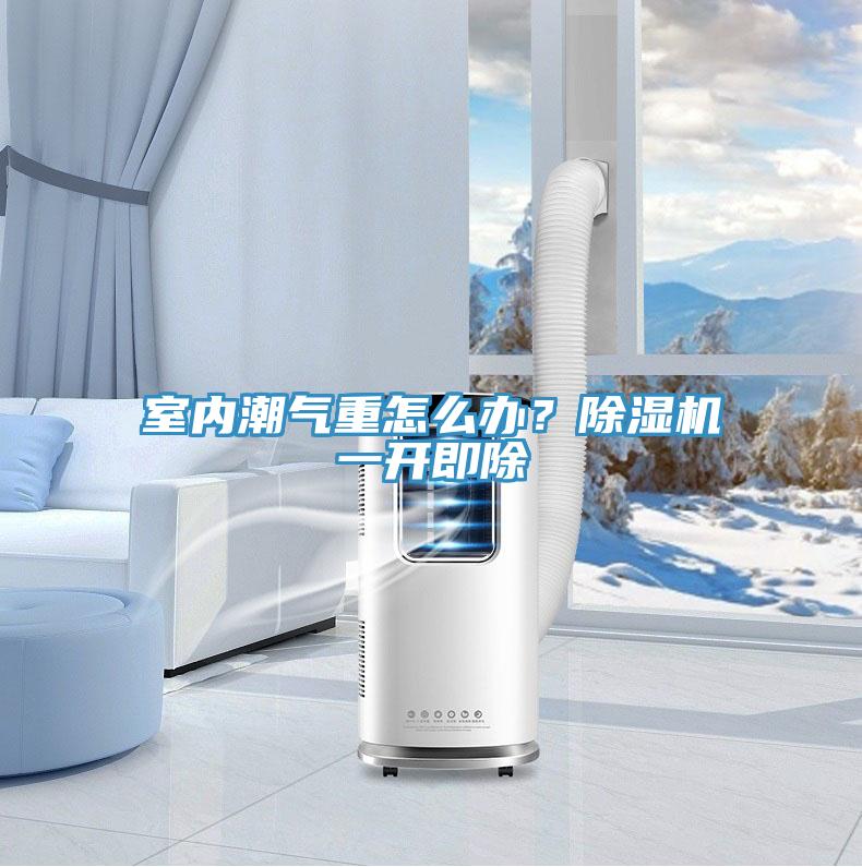 室內(nèi)潮氣重怎么辦？除濕機(jī)一開(kāi)即除