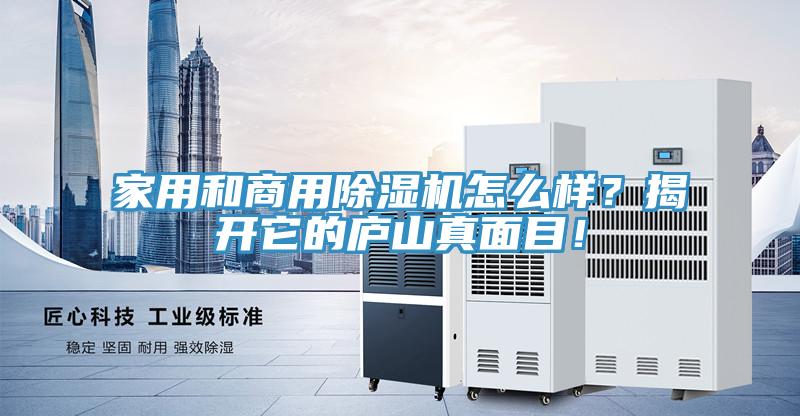 家用和商用除濕機(jī)怎么樣？揭開它的廬山真面目！