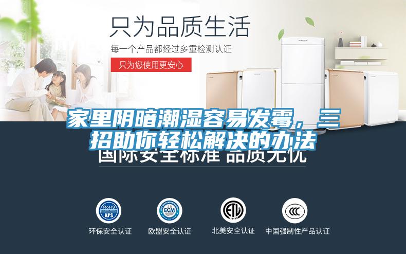 家里陰暗潮濕容易發(fā)霉，三招助你輕松解決的辦法