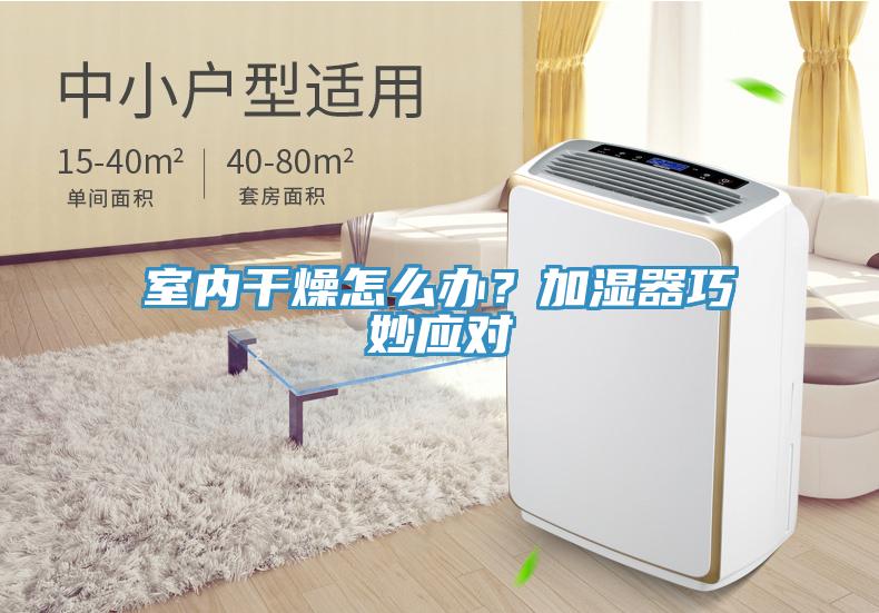室內(nèi)干燥怎么辦？加濕器巧妙應(yīng)對(duì)