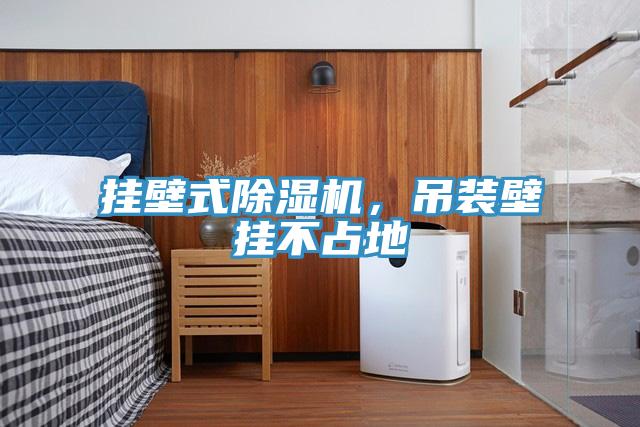 掛壁式除濕機(jī)，吊裝壁掛不占地