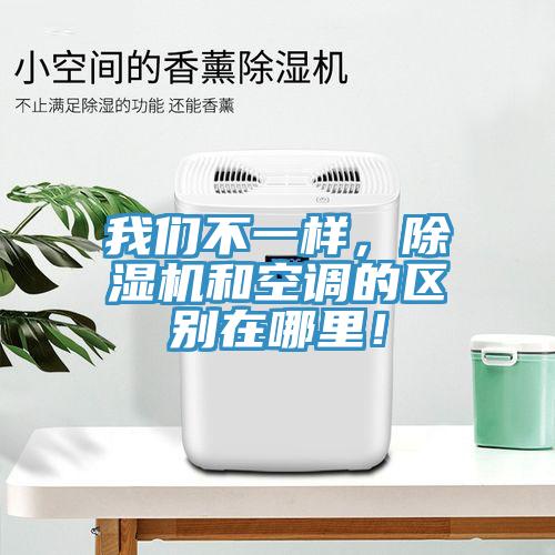 我們不一樣，除濕機和空調(diào)的區(qū)別在哪里！