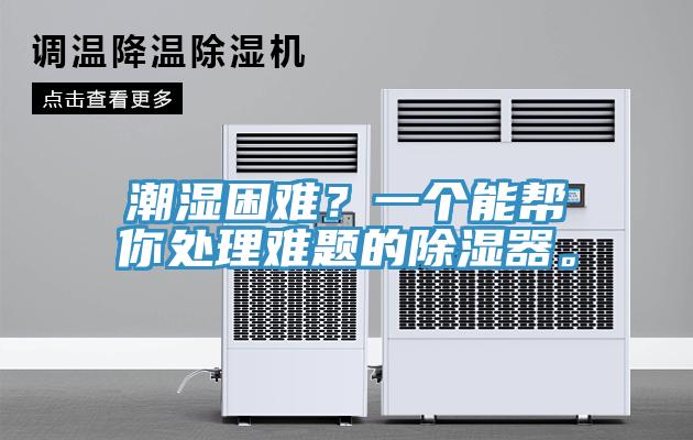 潮濕困難？一個能幫你處理難題的除濕器。