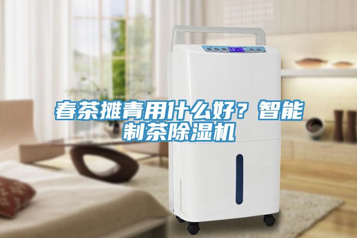 春茶攤青用什么好？智能制茶除濕機(jī)