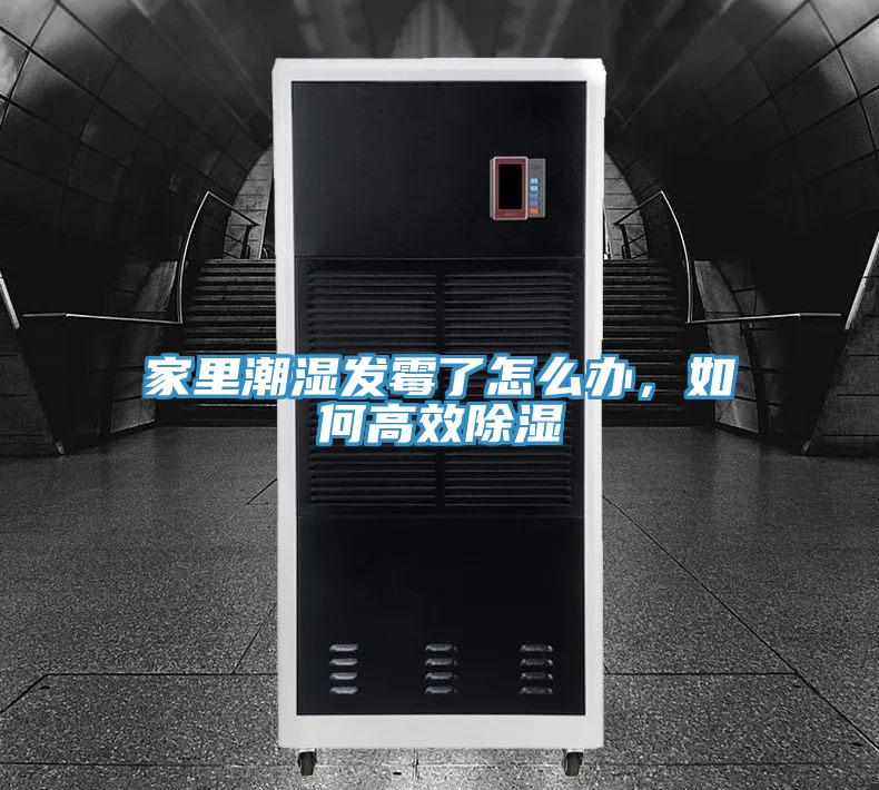家里潮濕發(fā)霉了怎么辦，如何高效除濕