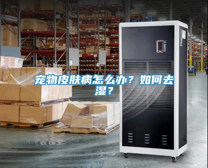 寵物皮膚病怎么辦？如何去濕？