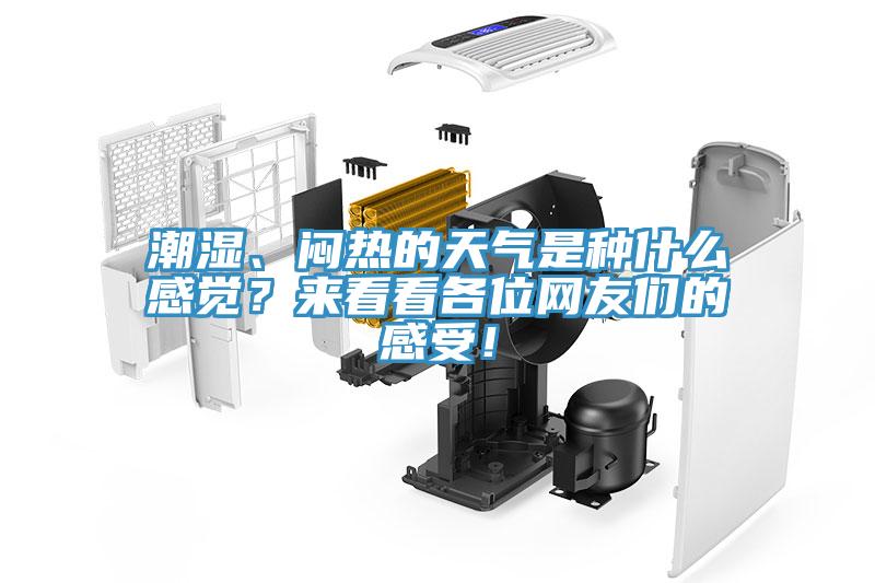 潮濕、悶熱的天氣是種什么感覺？來看看各位網(wǎng)友們的感受！