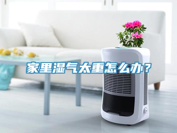 家里濕氣太重怎么辦？
