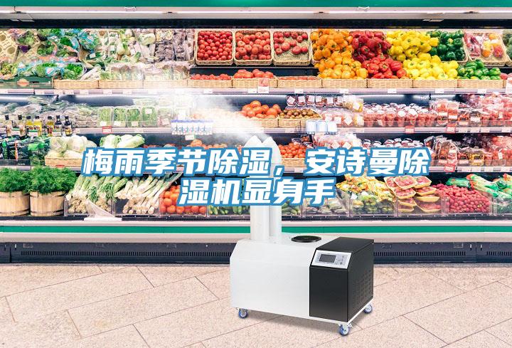 梅雨季節(jié)除濕，安詩(shī)曼除濕機(jī)顯身手
