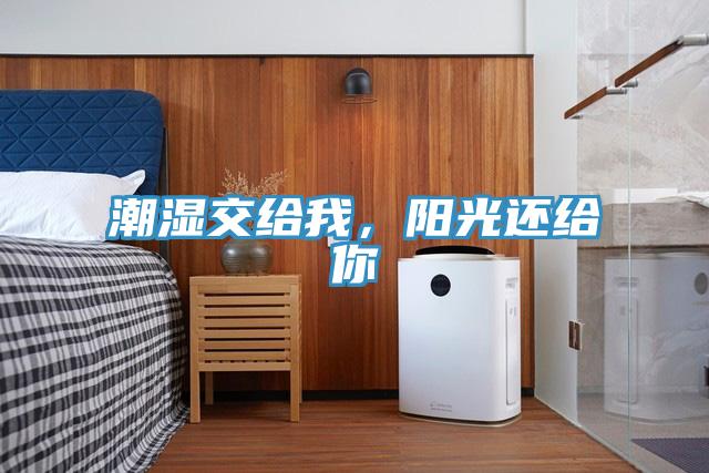 潮濕交給我，陽光還給你