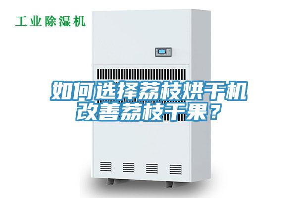 如何選擇荔枝烘干機(jī)改善荔枝干果？