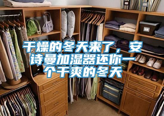 干燥的冬天來了，安詩曼加濕器還你一個干爽的冬天