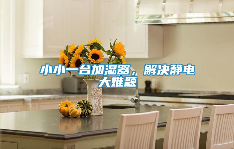 小小一臺加濕器，解決靜電大難題