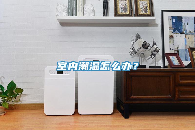 室內(nèi)潮濕怎么辦？