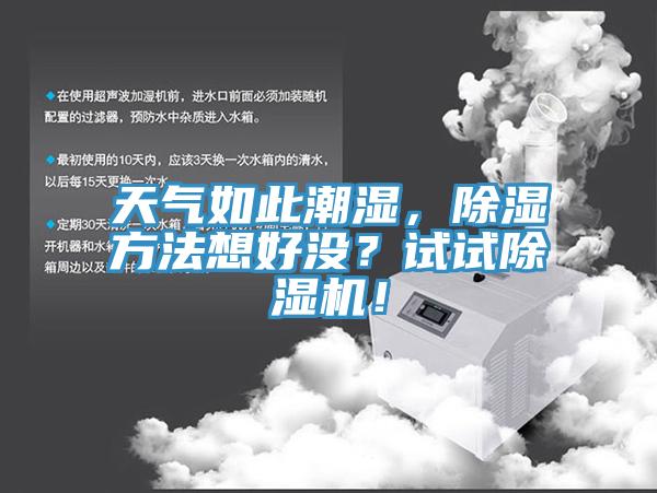 天氣如此潮濕，除濕方法想好沒(méi)？試試除濕機(jī)！