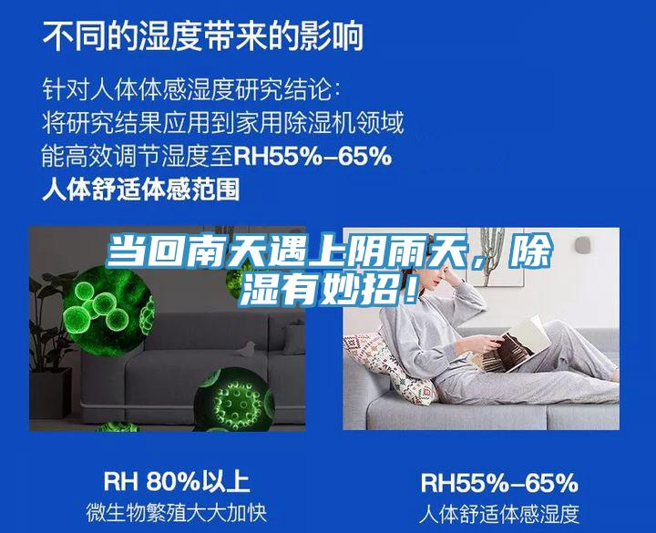 當(dāng)回南天遇上陰雨天，除濕有妙招！
