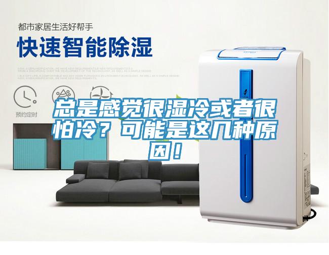 總是感覺很濕冷或者很怕冷？可能是這幾種原因！