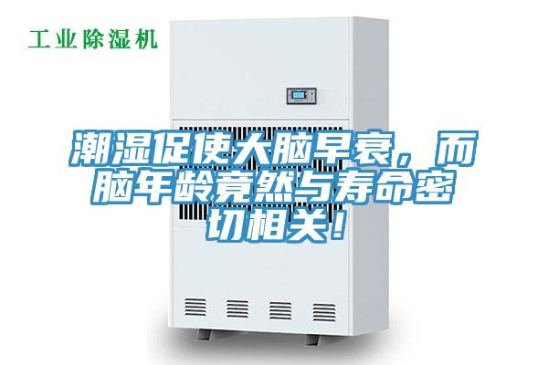潮濕促使大腦早衰，而腦年齡竟然與壽命密切相關(guān)！