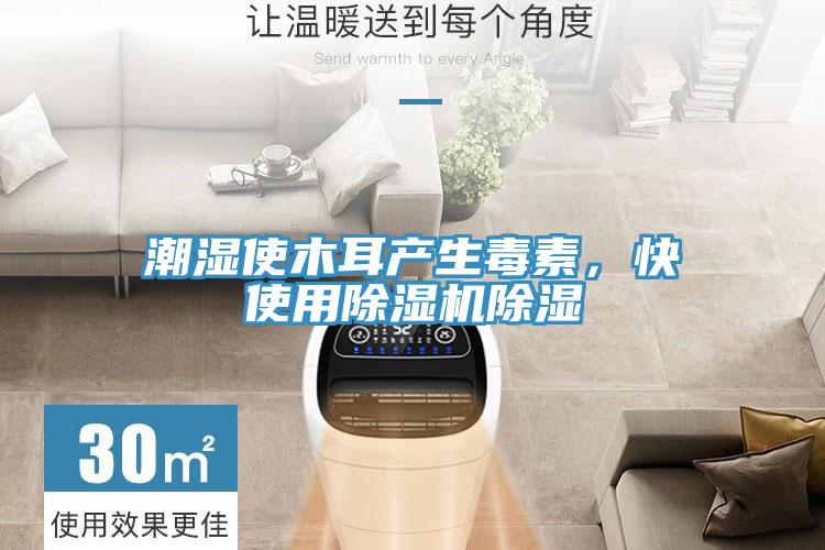 潮濕使木耳產(chǎn)生毒素，快使用除濕機(jī)除濕