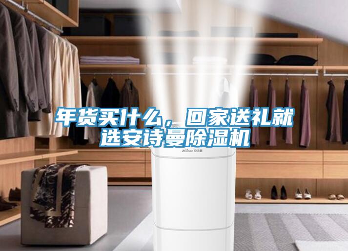 年貨買(mǎi)什么，回家送禮就選安詩(shī)曼除濕機(jī)