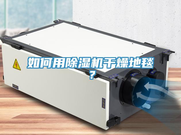 如何用除濕機(jī)干燥地毯？