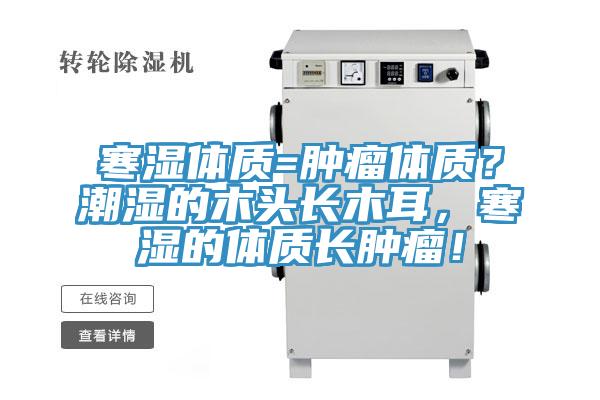 寒濕體質(zhì)=腫瘤體質(zhì)？潮濕的木頭長木耳，寒濕的體質(zhì)長腫瘤！