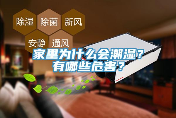家里為什么會潮濕？有哪些危害？