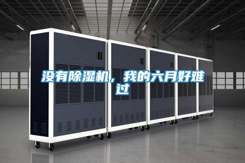沒有除濕機(jī)，我的六月好難過