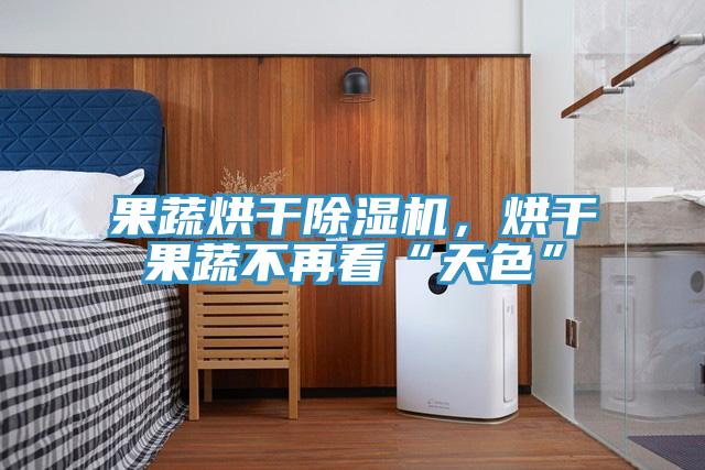 果蔬烘干除濕機(jī)，烘干果蔬不再看“天色”