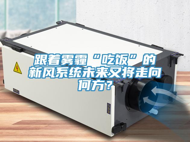 跟著霧霾“吃飯”的新風(fēng)系統(tǒng)未來(lái)又將走向何方？