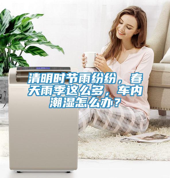 清明時(shí)節(jié)雨紛紛，春天雨季這么多，車(chē)內(nèi)潮濕怎么辦？