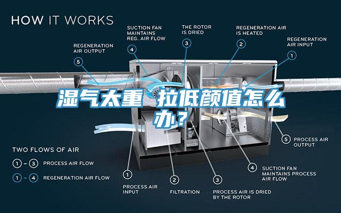 濕氣太重 拉低顏值怎么辦？