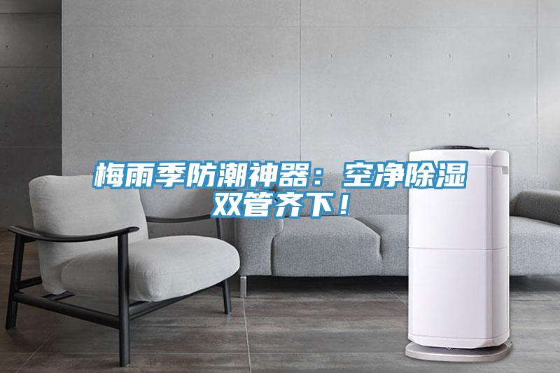 梅雨季防潮神器：空凈除濕雙管齊下！