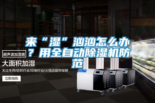 來“濕”洶洶怎么辦？用全自動除濕機防范