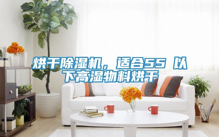 烘干除濕機，適合55℃以下高濕物料烘干