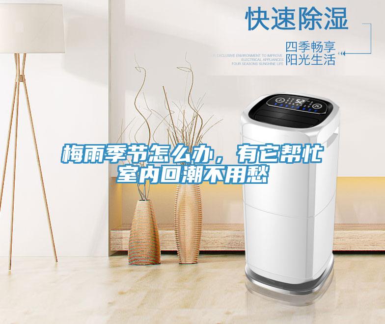 梅雨季節(jié)怎么辦，有它幫忙室內(nèi)回潮不用愁