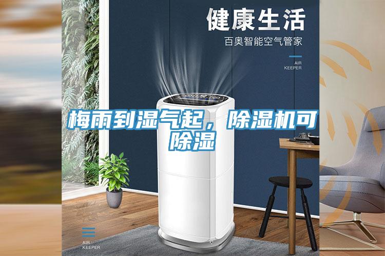 梅雨到濕氣起，除濕機可除濕