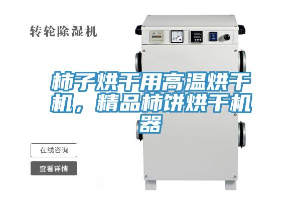 柿子烘干用高溫烘干機，精品柿餅烘干機器
