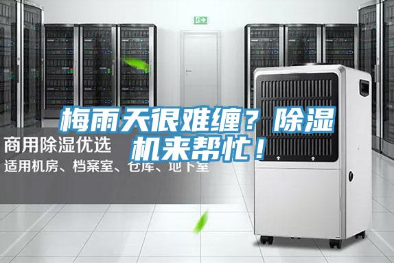梅雨天很難纏？除濕機來幫忙！