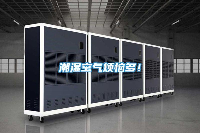 潮濕空氣煩惱多！
