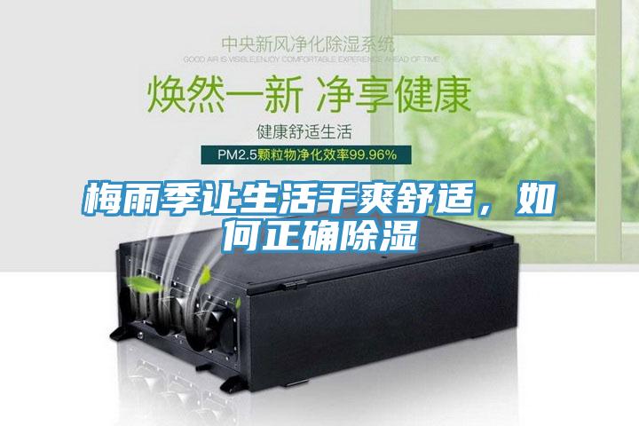 梅雨季讓生活干爽舒適，如何正確除濕
