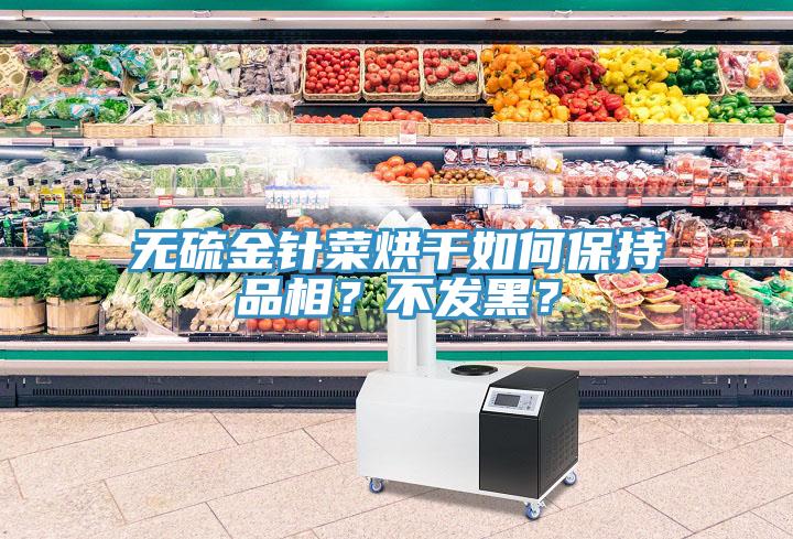 無硫金針菜烘干如何保持品相？不發(fā)黑？