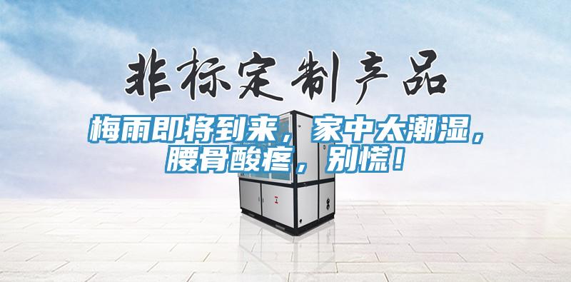 梅雨即將到來，家中太潮濕，腰骨酸疼，別慌！