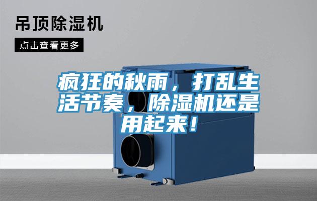 瘋狂的秋雨，打亂生活節(jié)奏，除濕機(jī)還是用起來(lái)！