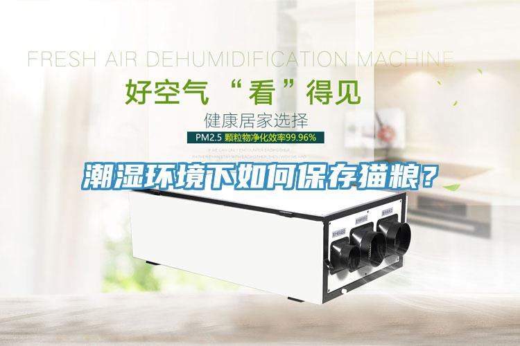 潮濕環(huán)境下如何保存貓糧？