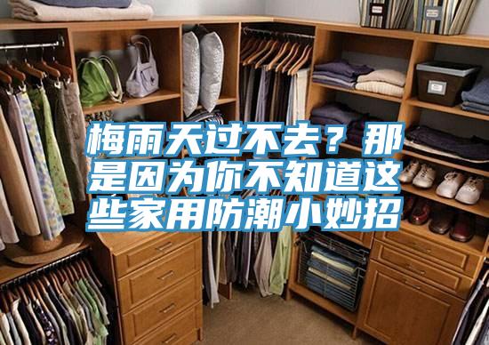 梅雨天過(guò)不去？那是因?yàn)槟悴恢肋@些家用防潮小妙招