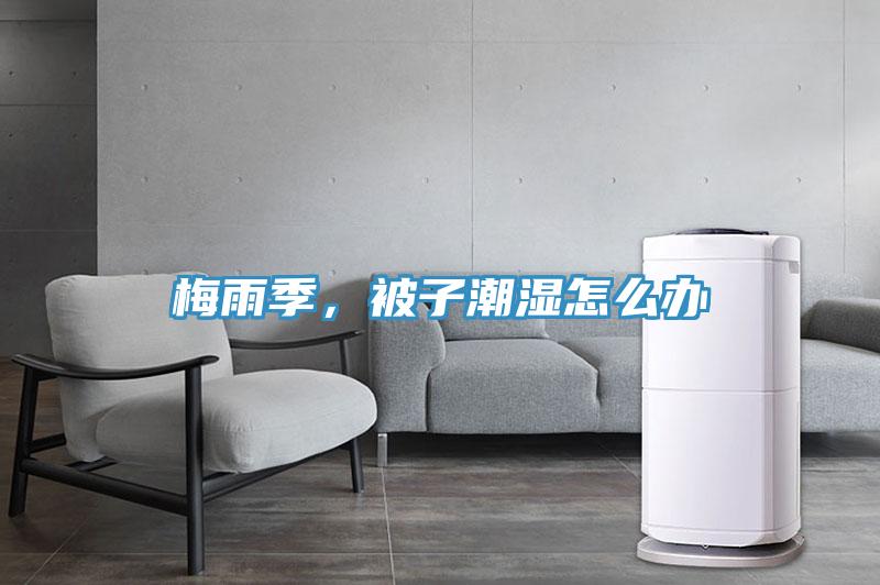 梅雨季，被子潮濕怎么辦